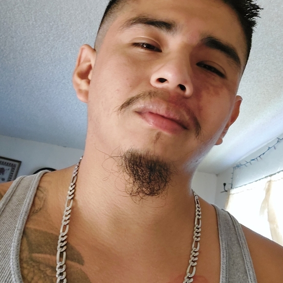 Meet your Posher, William - Picture 4 of 5